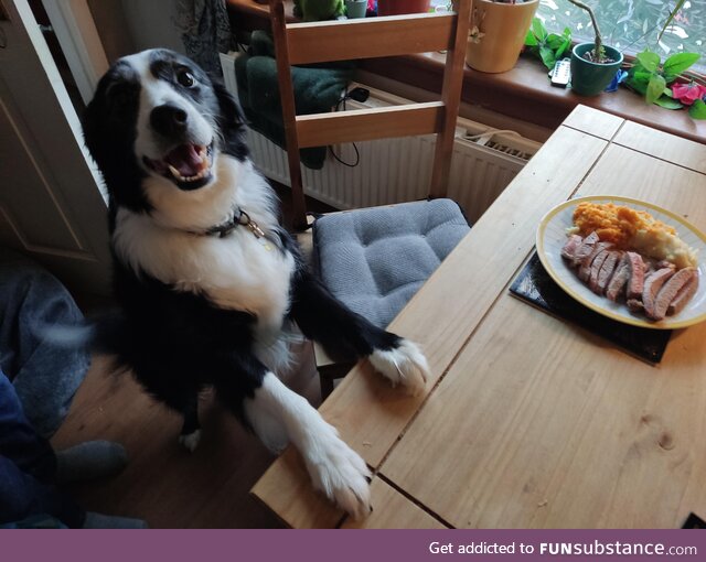 Chase having a pre-op steak dinner. Op was a success!