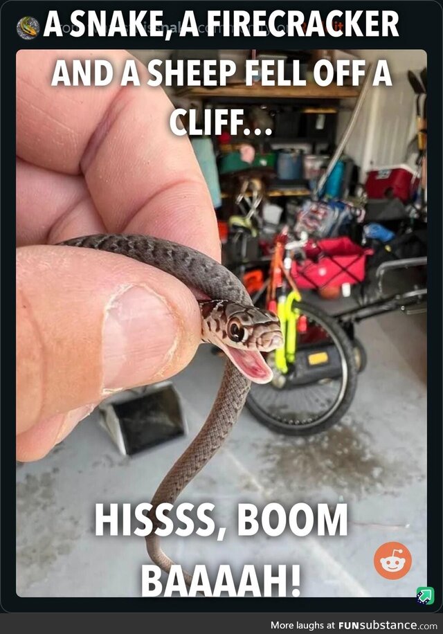 Silly pun snek