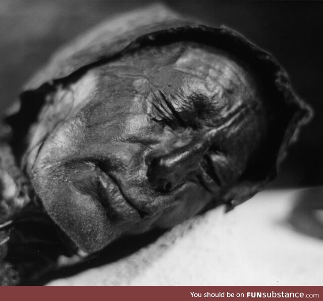 Tollund Man: 2400 year-old bog mummy found in Denmark in 1950