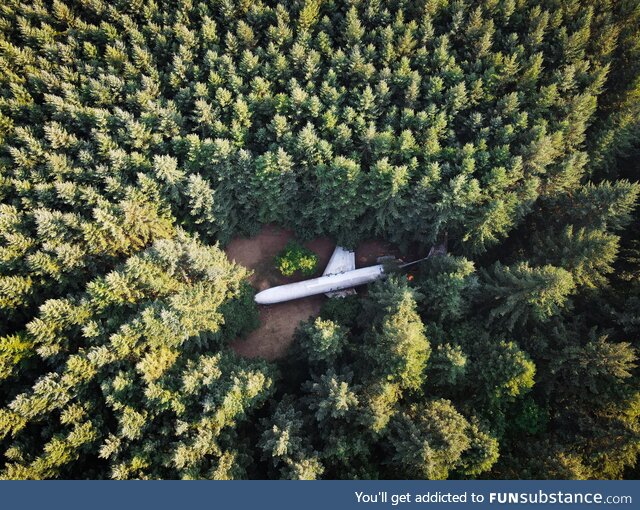 Plane home in the woods if Oregon [OC]