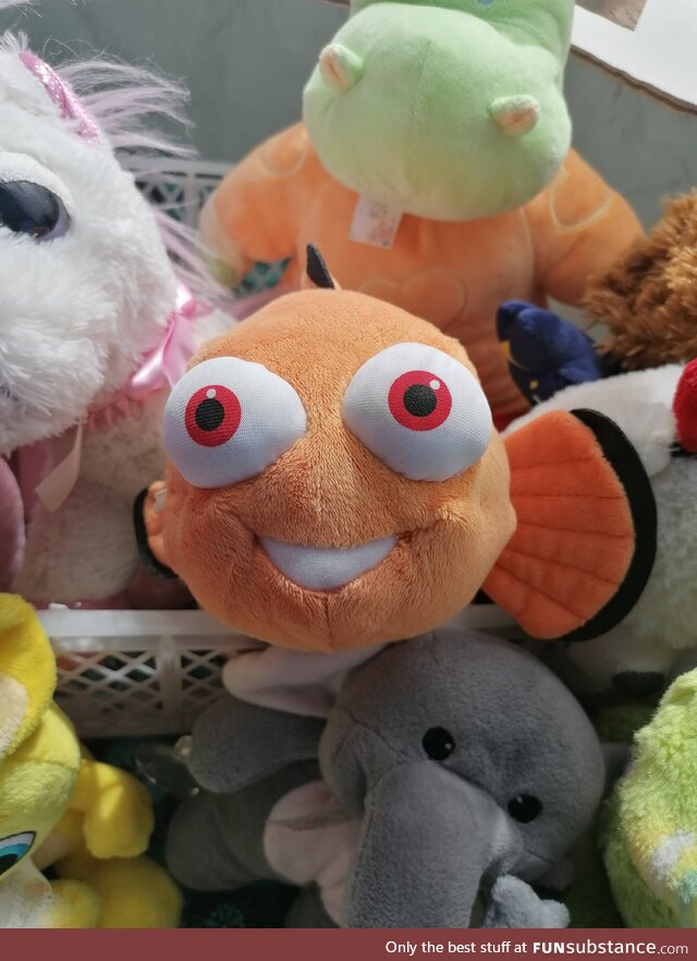 Nemo was actually never found and ended up in a drug den