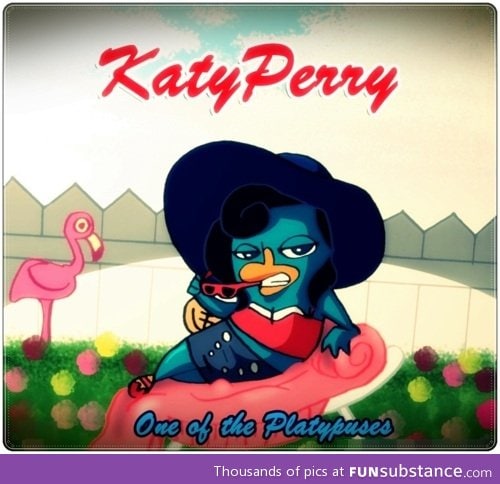 Katy Perry the Platapus