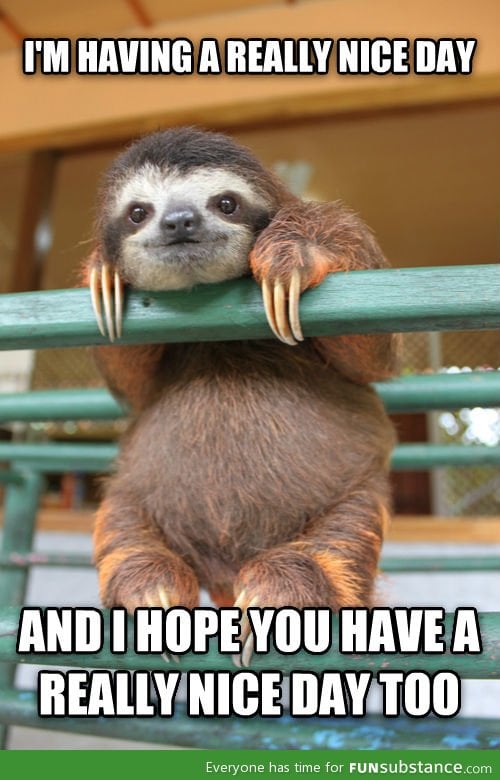 Positive attitude sloth