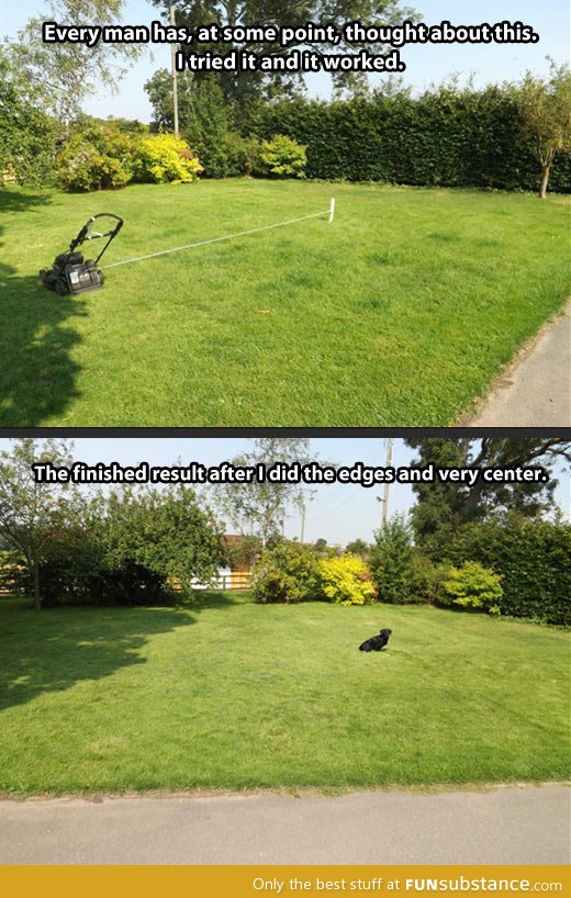 Lawn mowing made easy - FunSubstance.