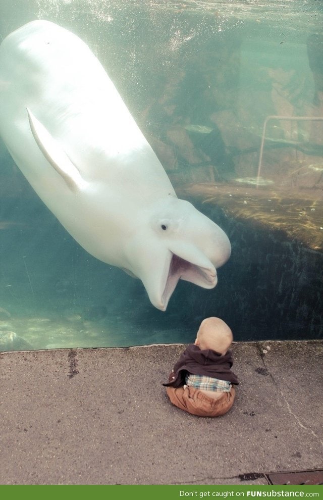 A baby at a aquarium