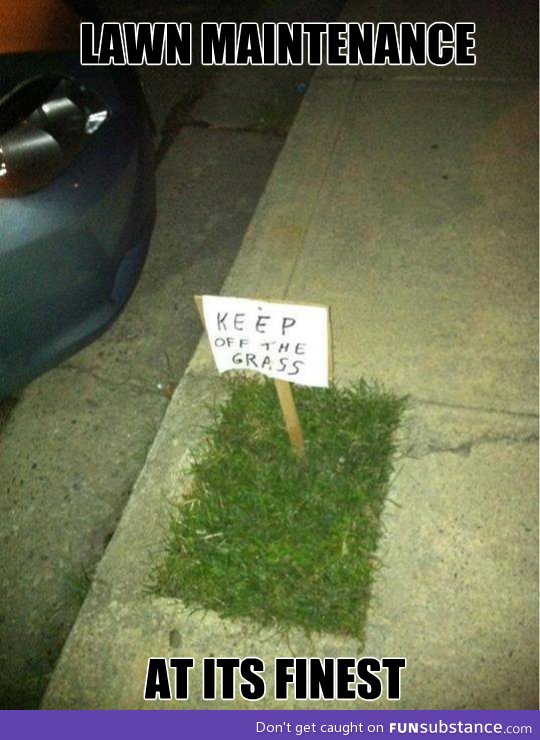 Nice lawn dude