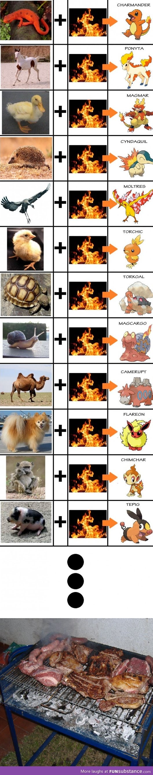 Fire Pokemon