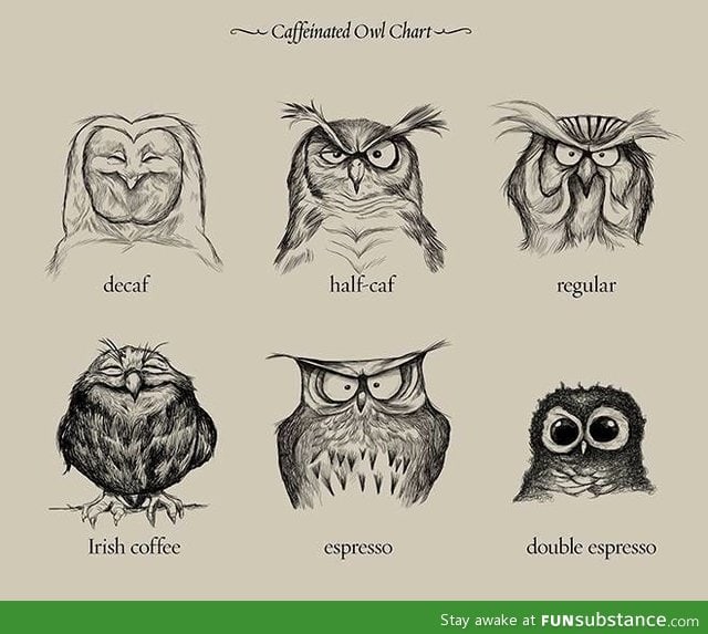 The wonderful world of coffee explained by owls {o,o}