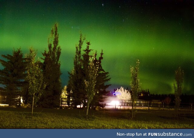 Northern Lights near Calgary right now