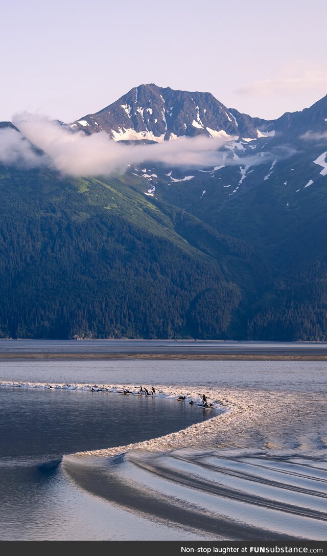 Surfing the Alaska bore tide [OC]