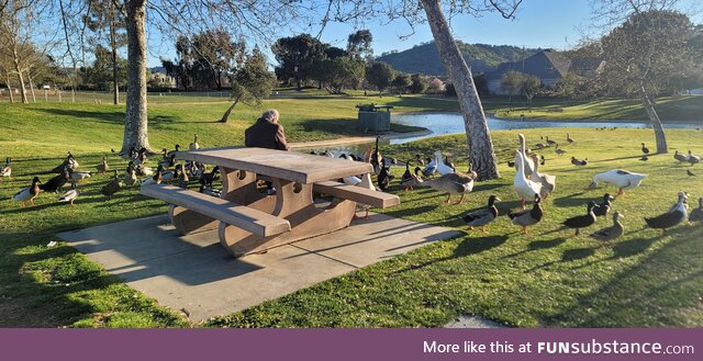 [OC] Old Man Sitting in the Sun Feeding the Ducks