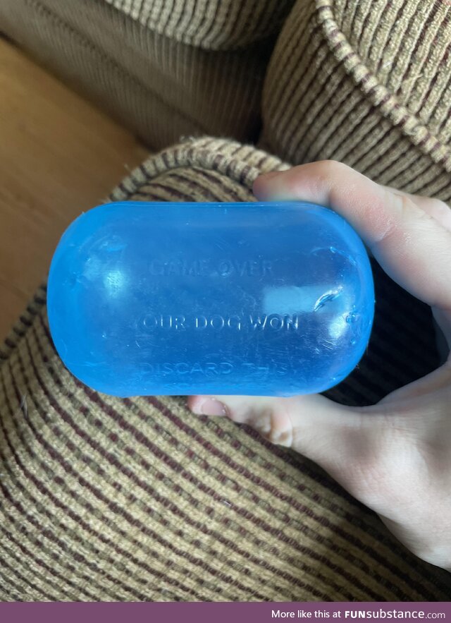 This squeaker on my dogs toy