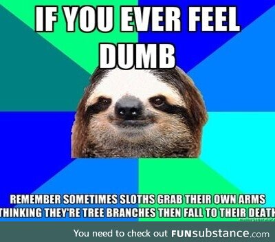 If you ever feel dumb