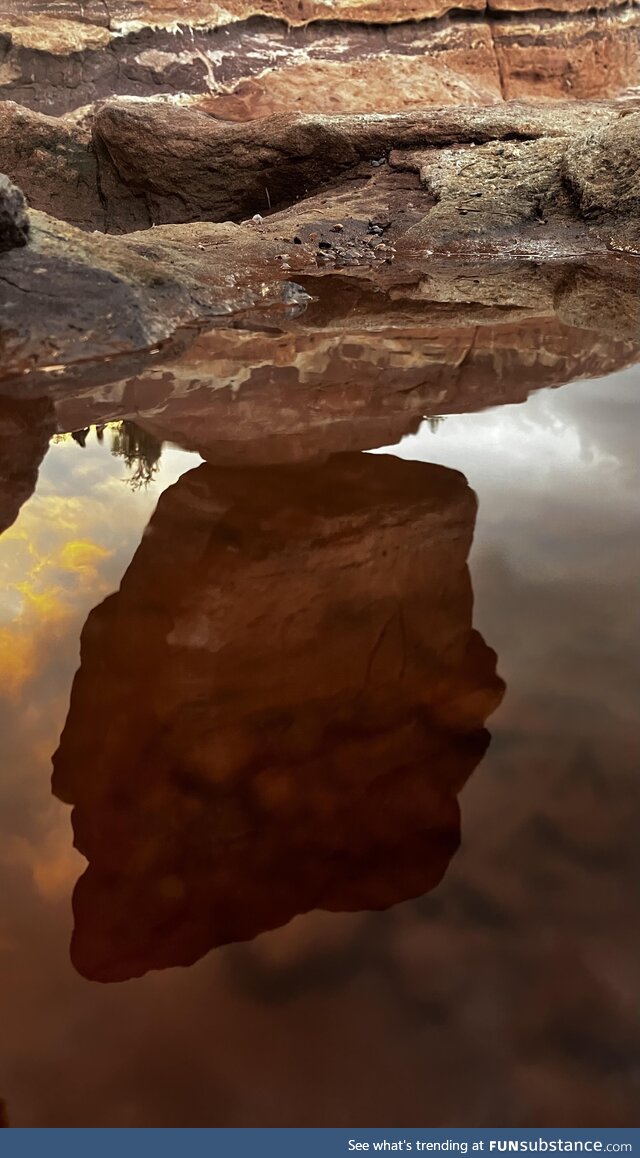 A picture I took at Garden of The Gods