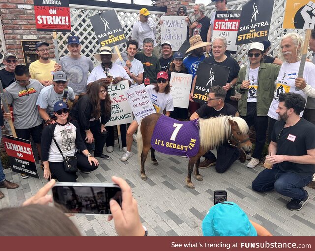 Aubrey Plaza and the Parks and Recreation crew had a mini-reunion at the SAG-AFTRA strike