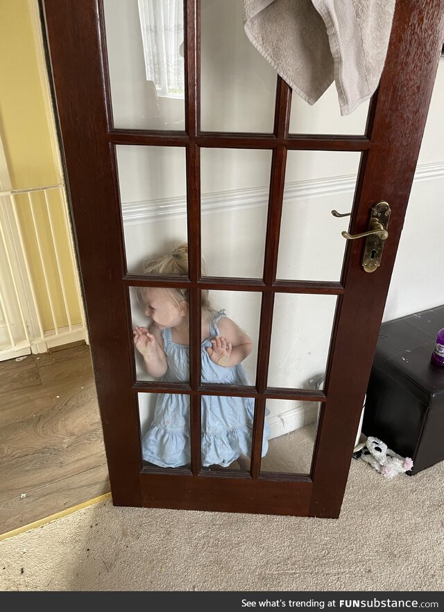 Playing hide and seek with a toddler is always a thrill