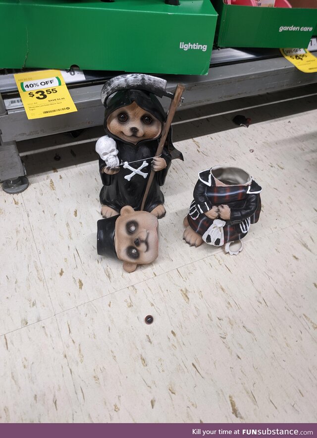 RIP MR Meerkat found this guy broken in woolies so we set this guy up for a laugh