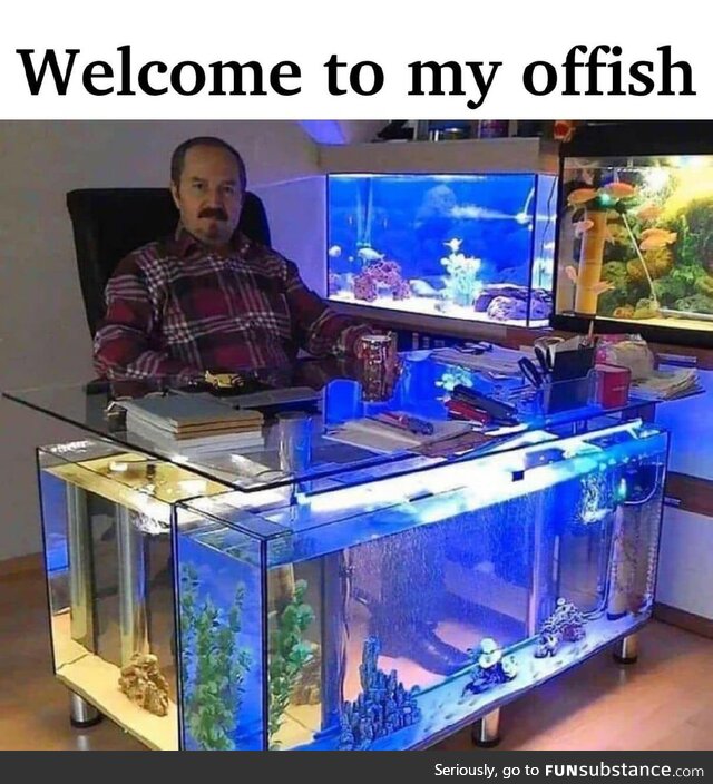 The CEO of Only Fish