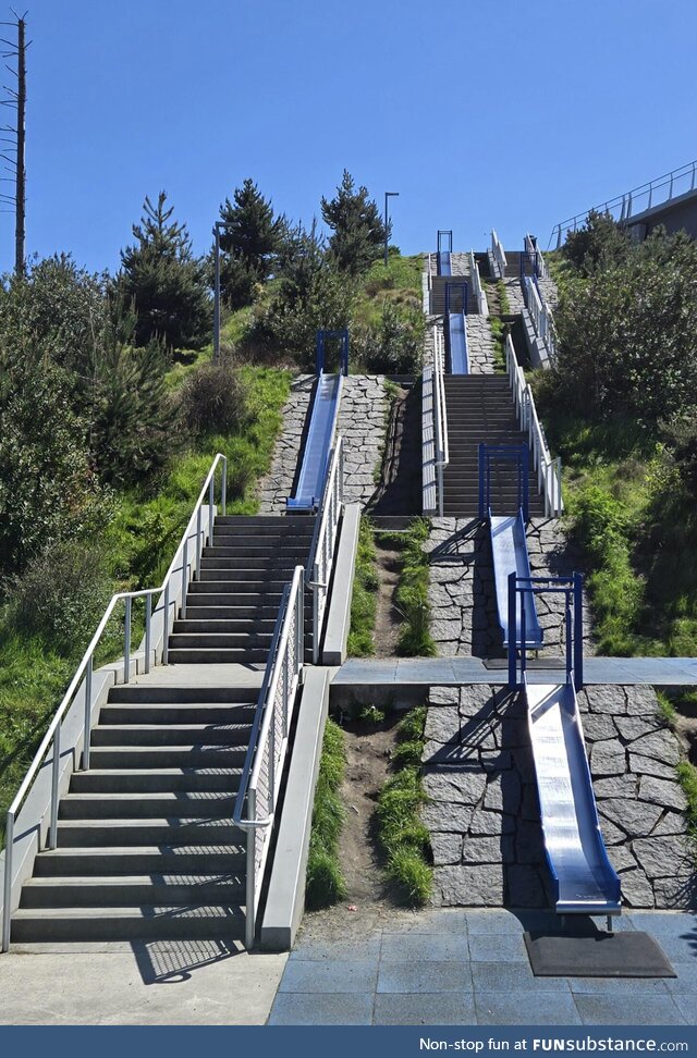 Slide or Stairs