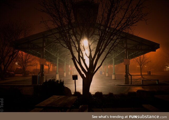 Close Encounters at the farmers market