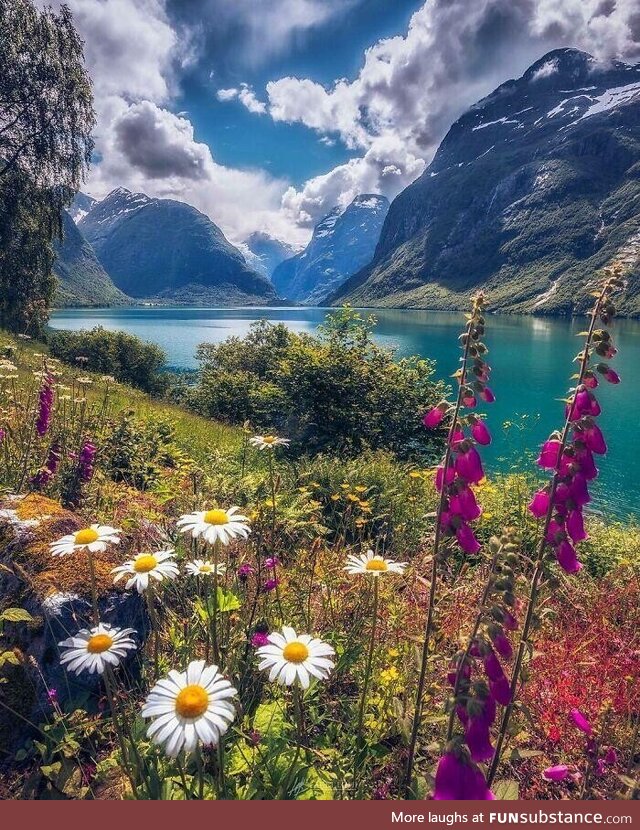 Summer Day in Lovatnet, Norway