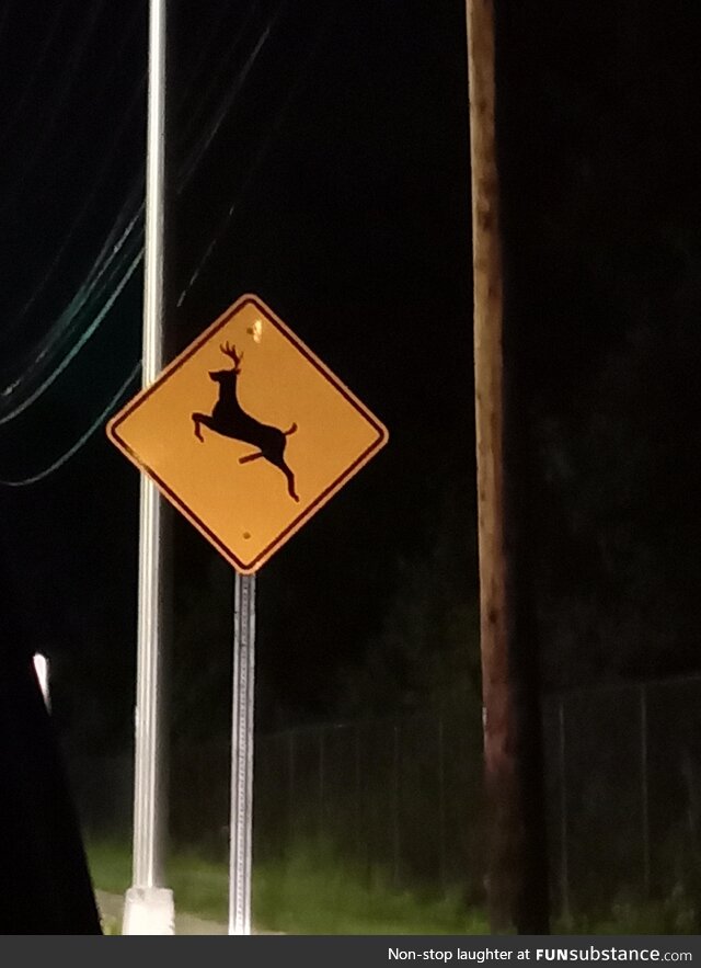 Deer crossing, deer may have raging hard on and try to cross road in order to get laid