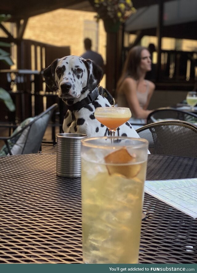 Saw this pretty lady staring at me from across the bar so I invited her over for a drink