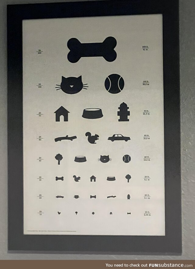 Doggy eye exam chart