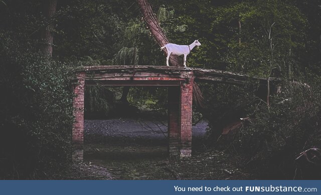 Standing guard at an abandoned castle in Belgium