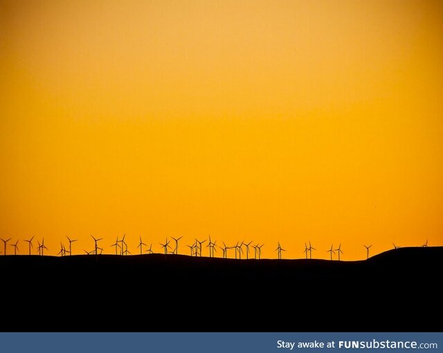 Wildhorse windfarm at Sunset [OC]