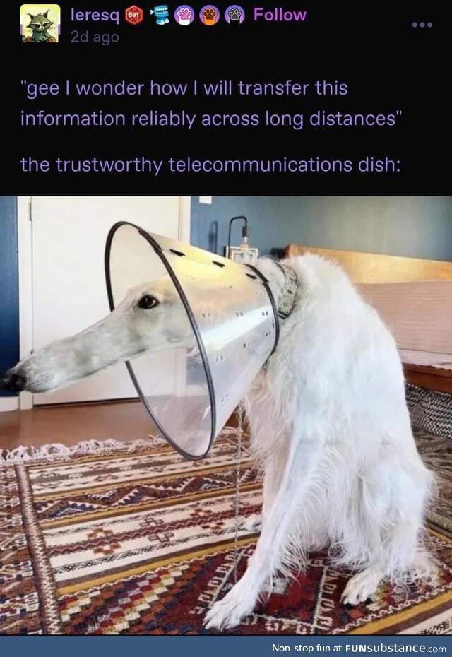 Satellite doggo