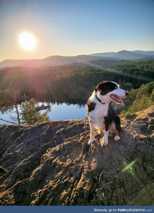 Love where you live. (Vancouver Island)