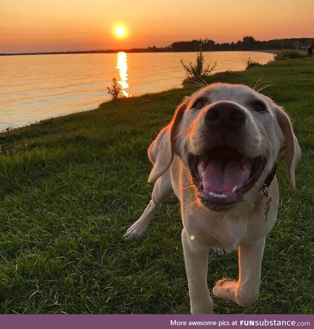 Sunset love with my pup