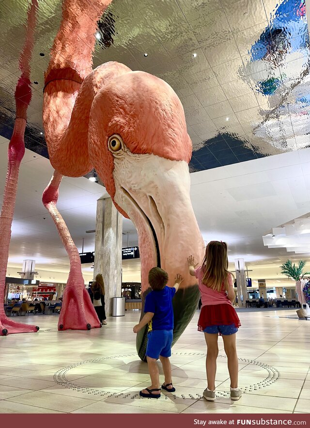 Tampa International Airport’s new Flamingo