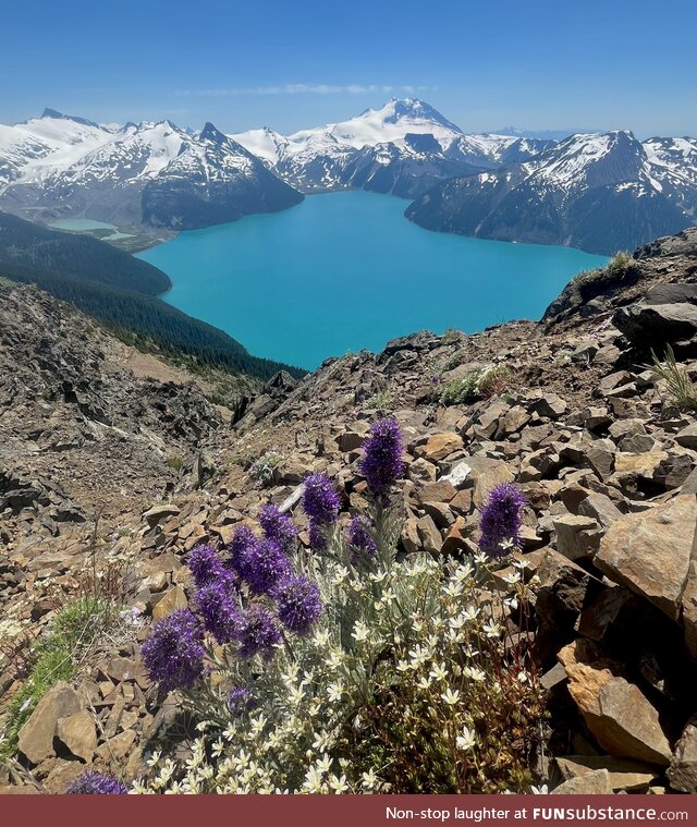 Lake Girabaldi, BC - only an 18 mile hike for this view