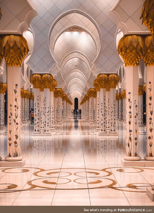 Sheikh Zayed Grand Mosque in the UAE (OC)