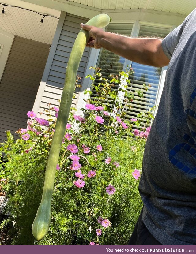 [OC] I grew this