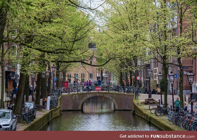 The guy on the bridge across from me had the exact same idea. Photo taken in Amsterdam