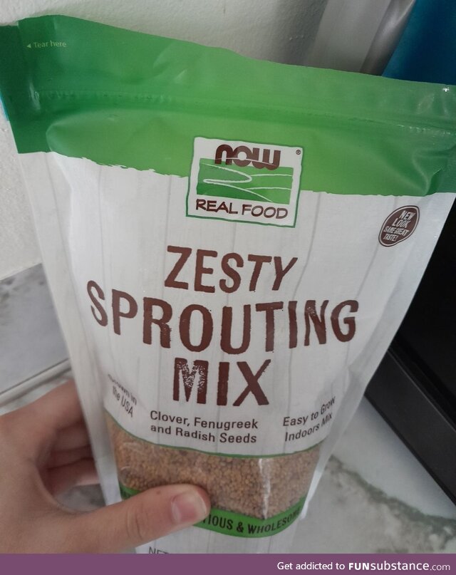 Zesty Sprouting Mix