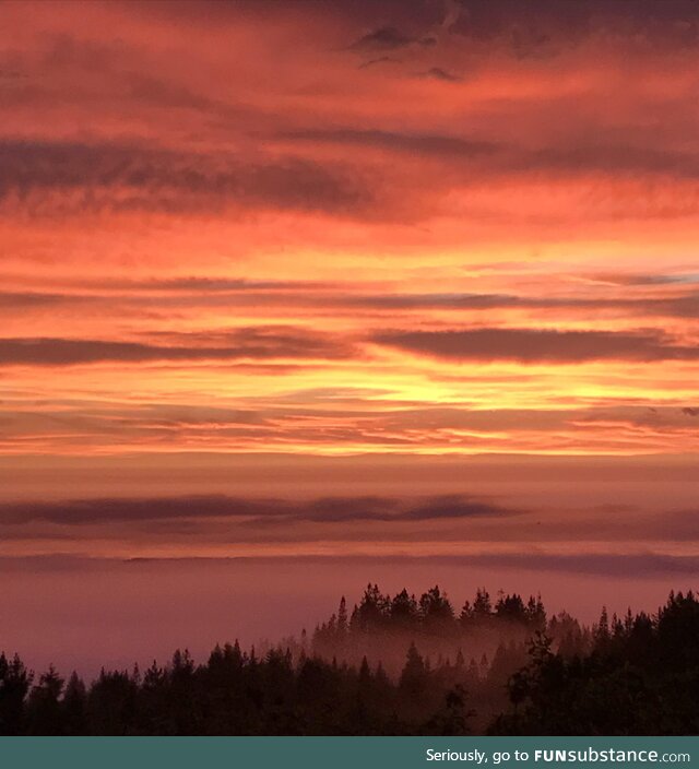 View from my house ???? in Humboldt California. Looks over the ocean but the fog layer is