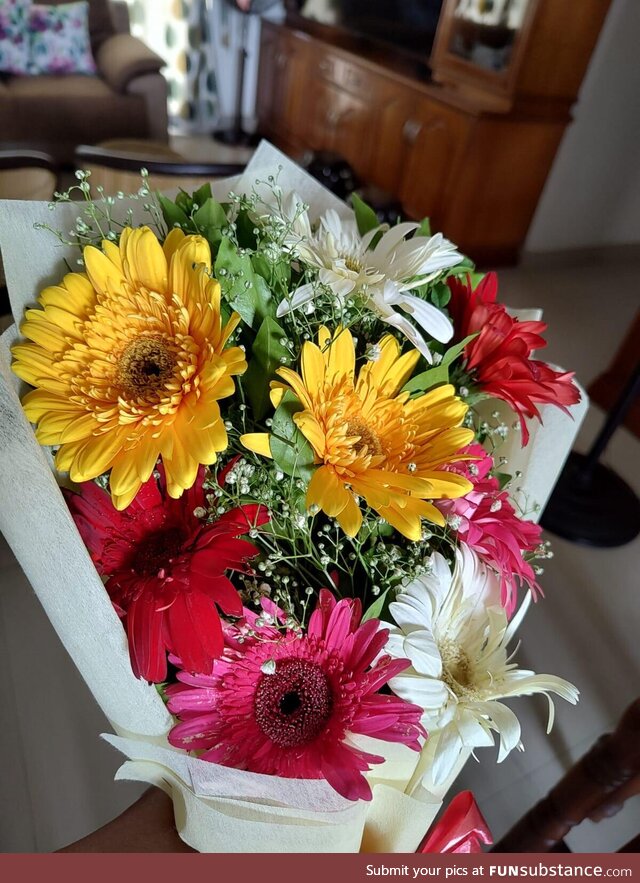 Flowers I purchased for my mother on her birthday (today)