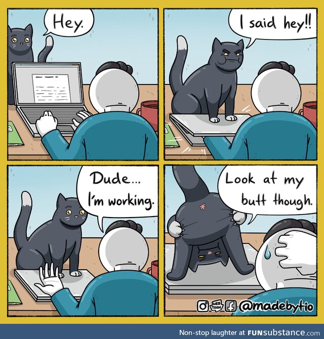 Cats in a nutshell