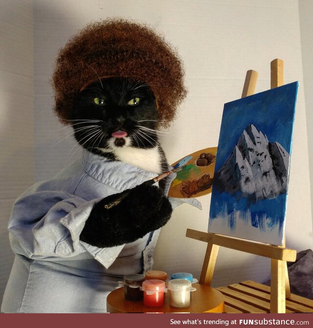 "There are no meow-stakes, only happy accidents."