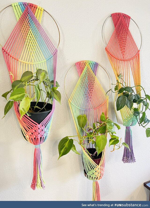 Hand-dyed macrame plant hangers!