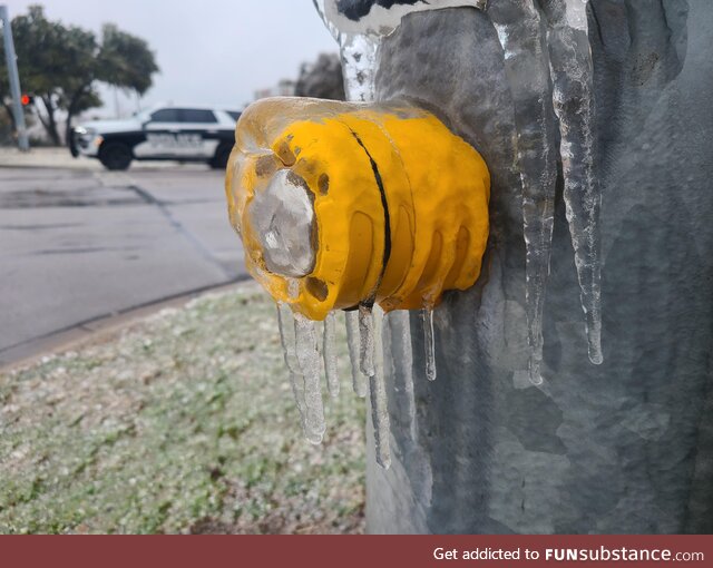 I hope the Texas police understand why I didn't use the Cross Walk button