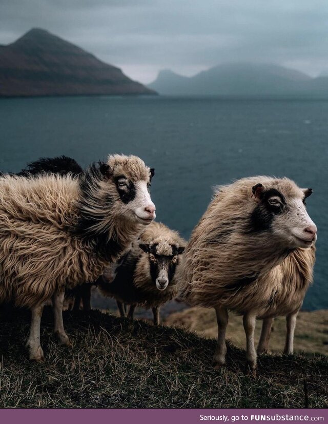 Shooting the breeze on the Faroe Islands