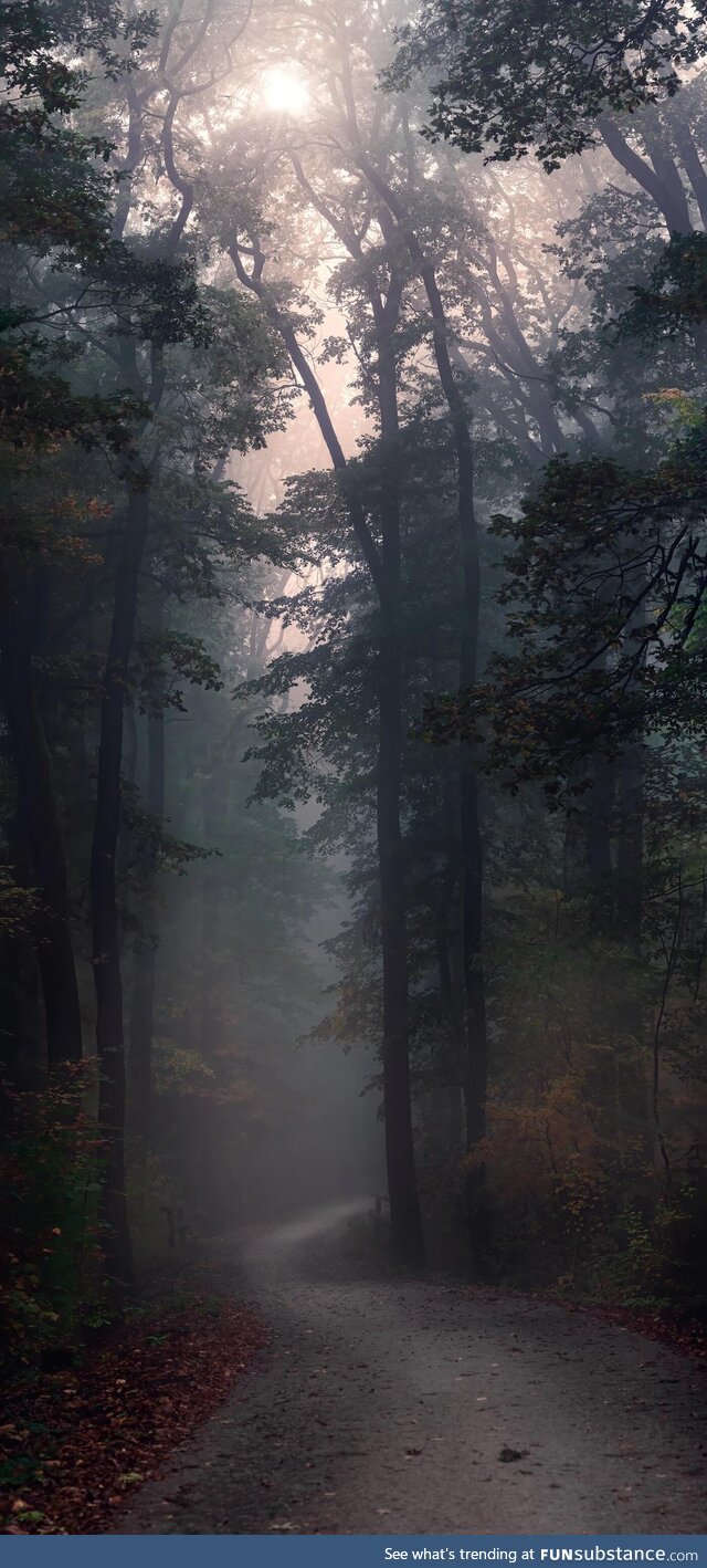 Can’t wait for foggy autumn evenings