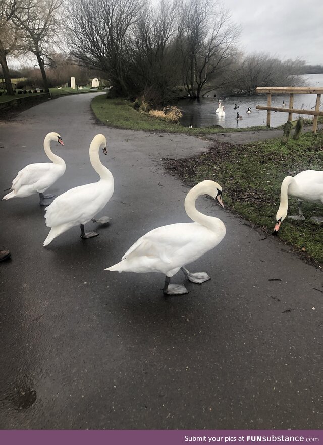 Road block, just stop walking…