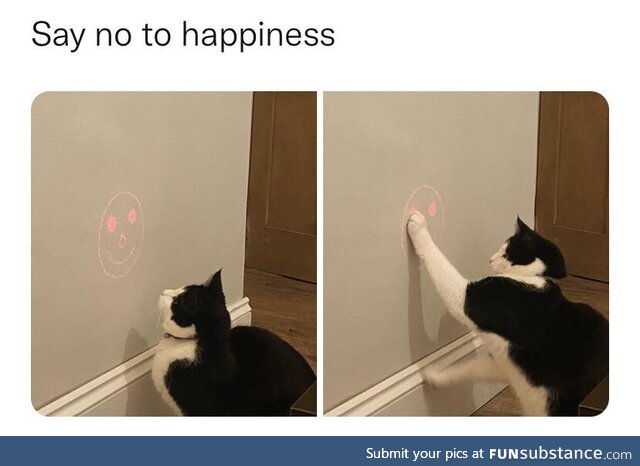 My cat hates happiness