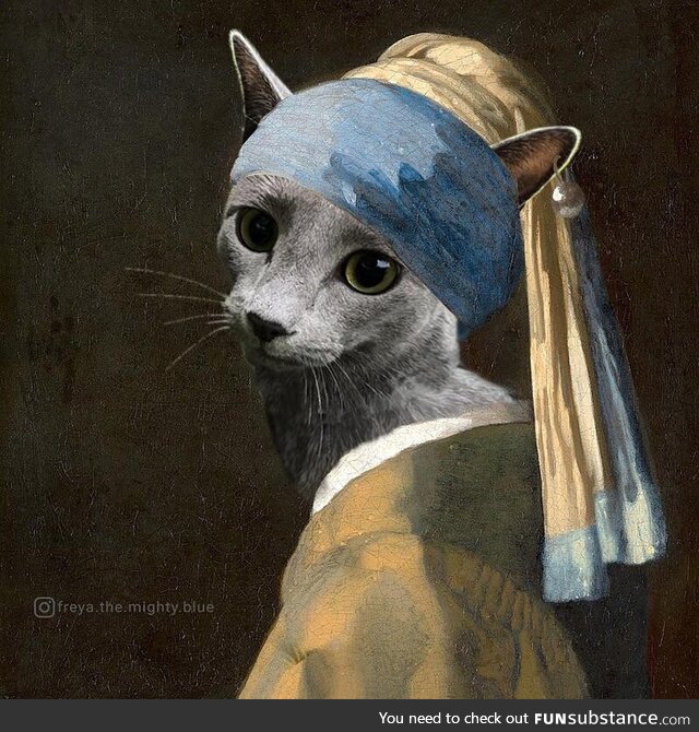 I’ve turned my kitty into a ‘lady with a pearl earring’, she fits so perfectly!